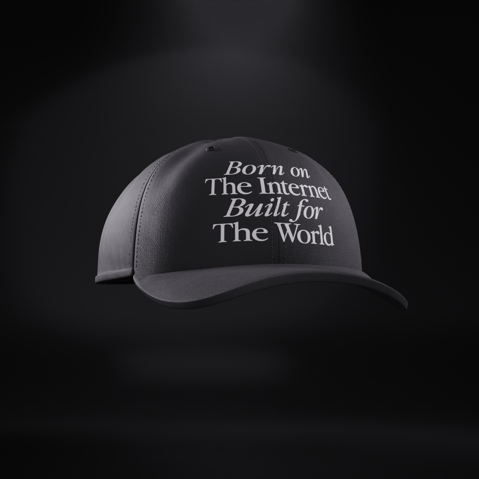 'BORN ON THE INTERNET' DAD CAP