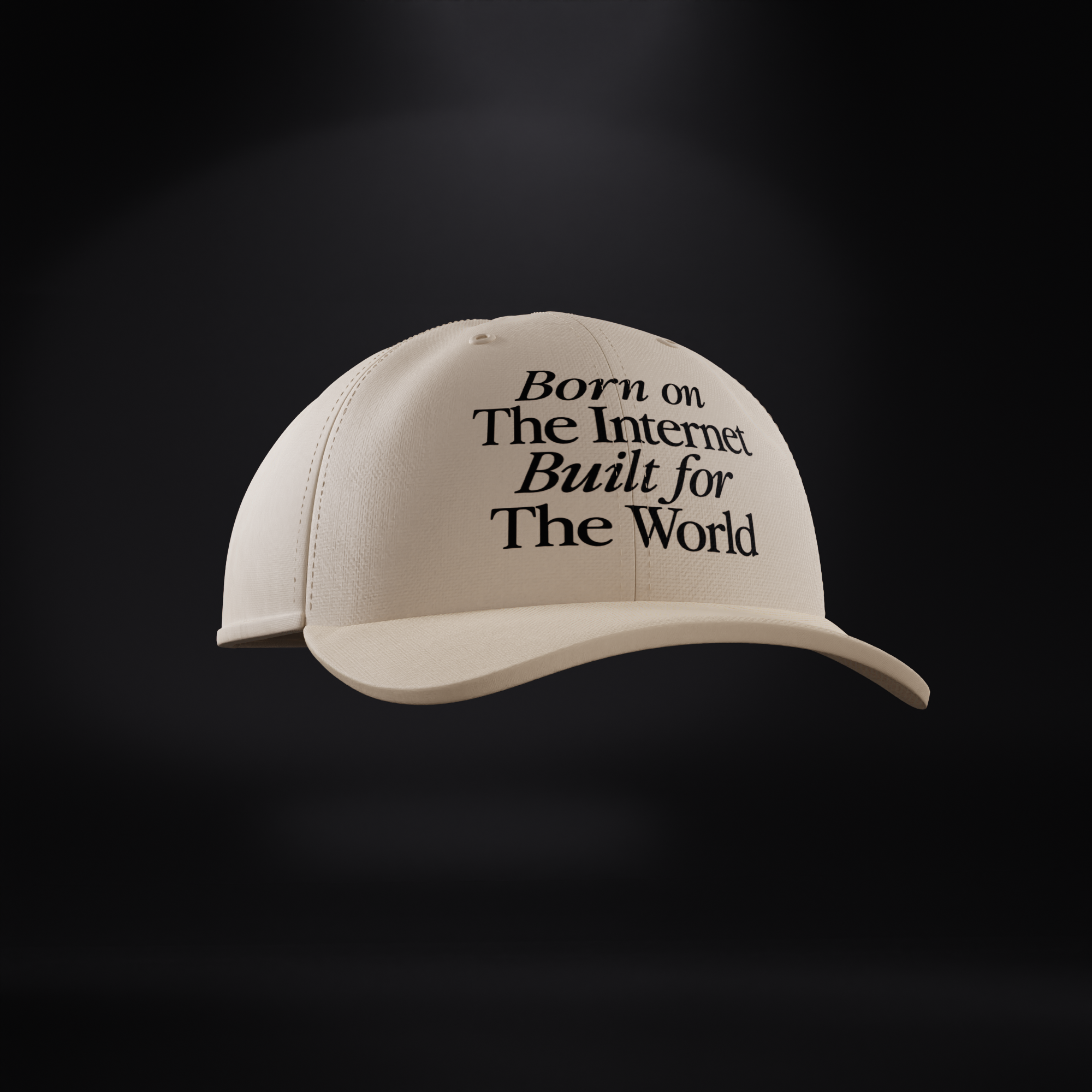 'BORN ON THE INTERNET' DAD CAP