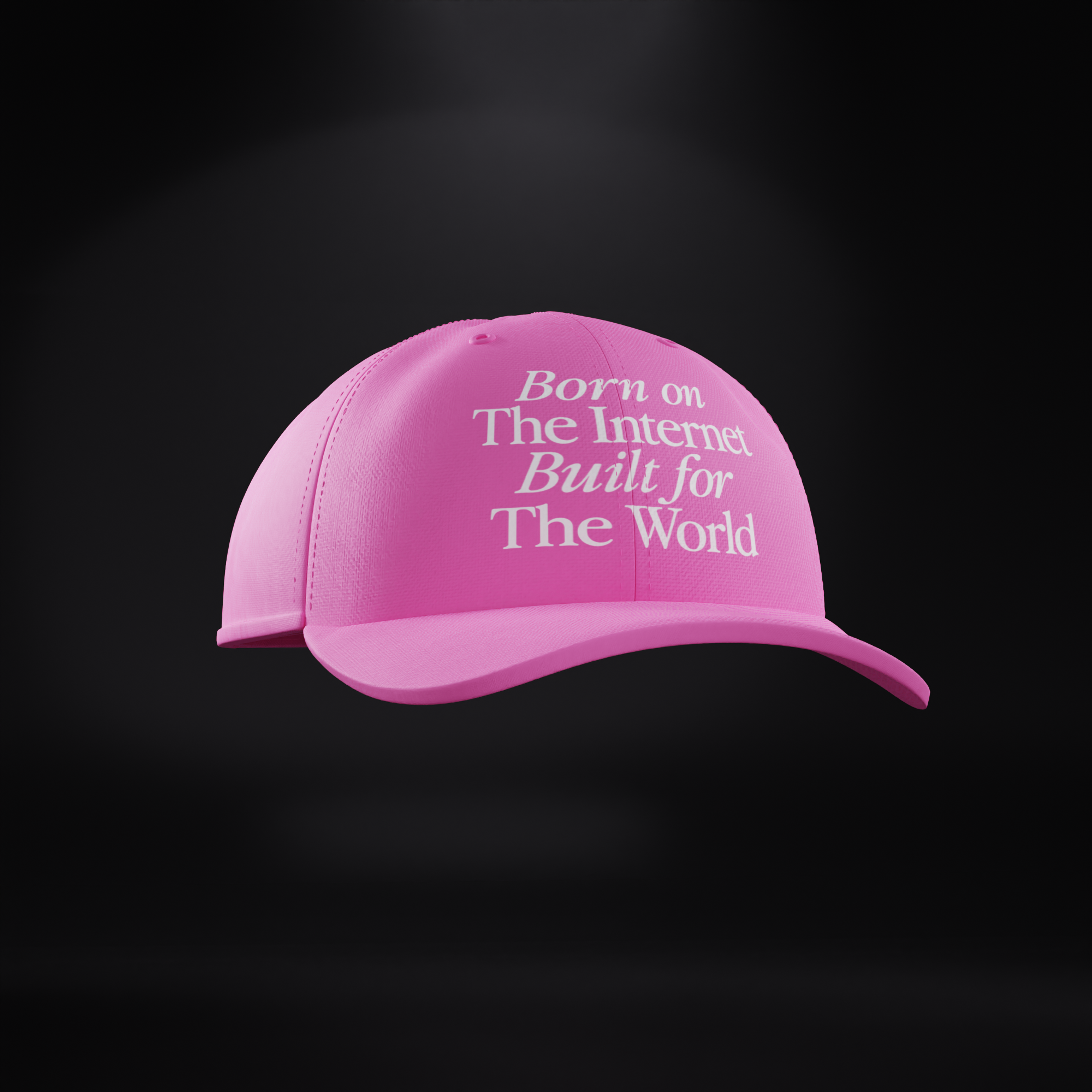 'BORN ON THE INTERNET' DAD CAP