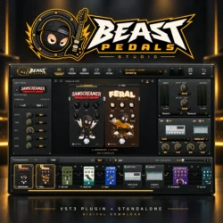 Beast Pedals logo above the plugin interface, presented as a digital VST3 and standalone software product.